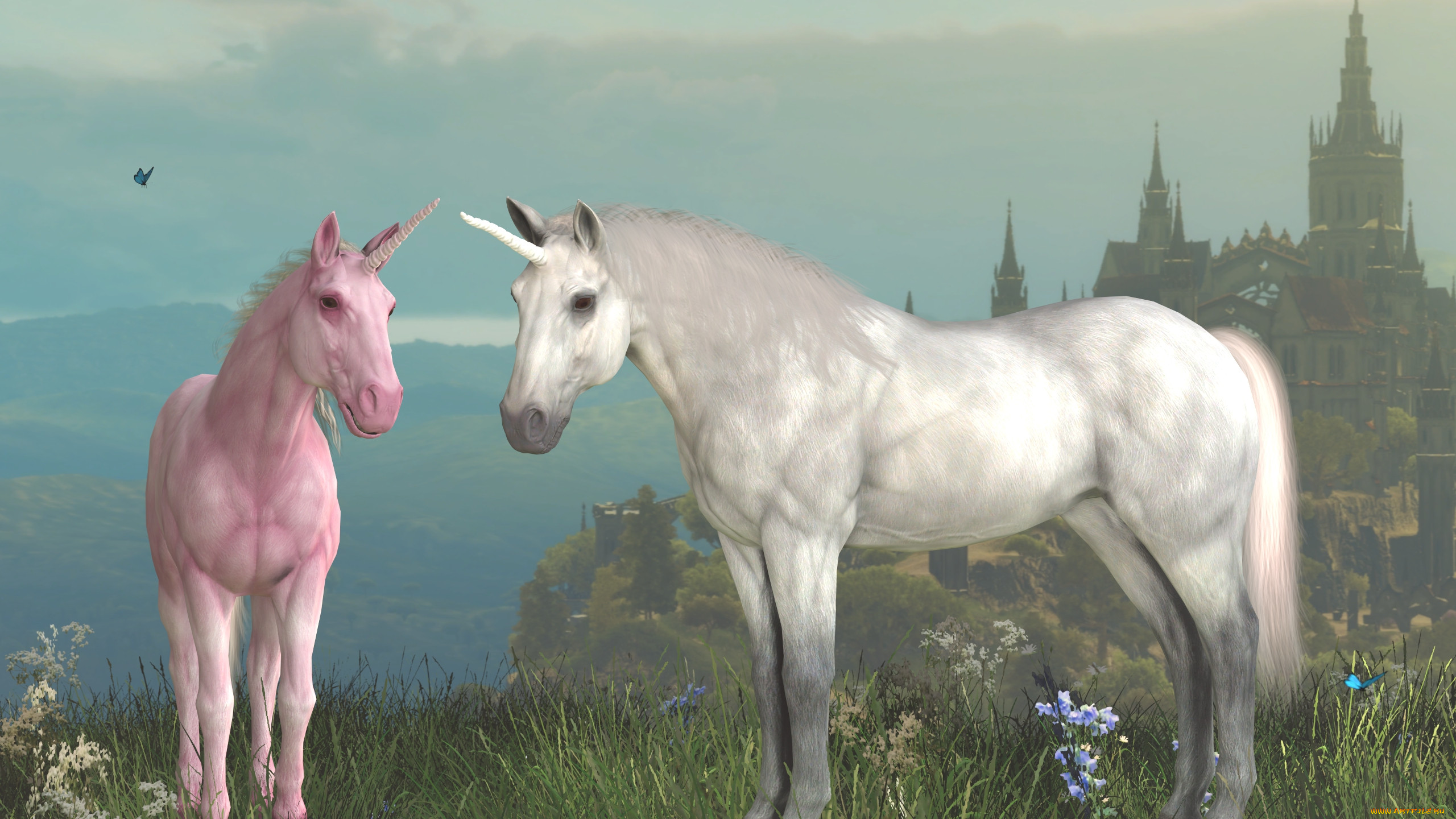 3 ,  , animals, 